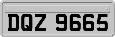 DQZ9665