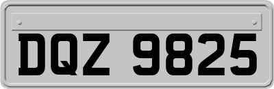 DQZ9825