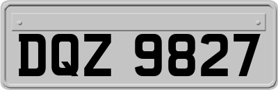 DQZ9827