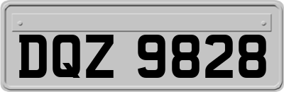 DQZ9828