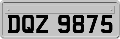 DQZ9875