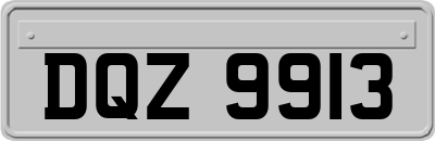 DQZ9913