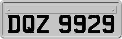 DQZ9929