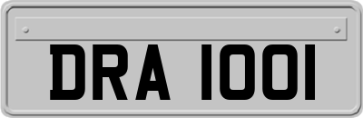 DRA1001