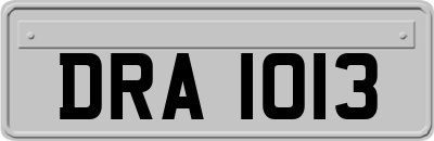 DRA1013