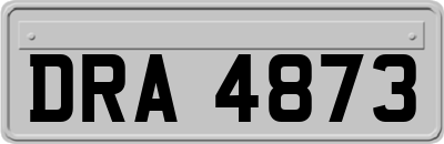 DRA4873