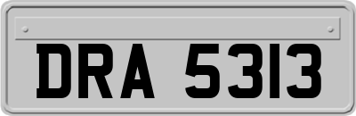 DRA5313