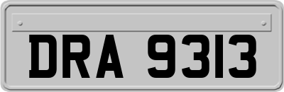DRA9313