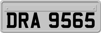 DRA9565
