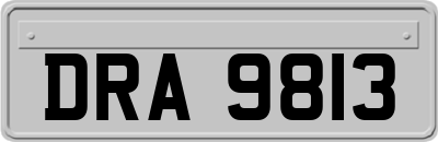 DRA9813