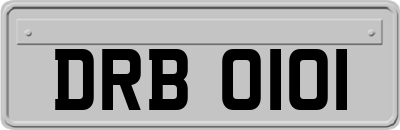 DRB0101