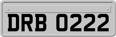 DRB0222