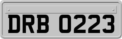 DRB0223