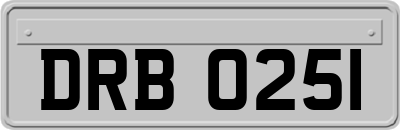 DRB0251