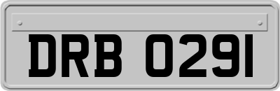 DRB0291