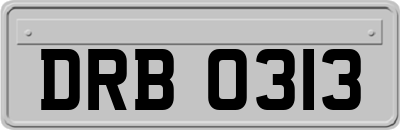 DRB0313