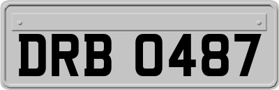 DRB0487