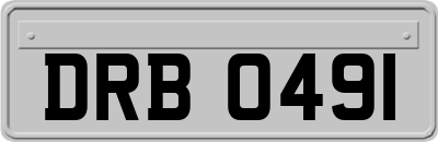 DRB0491