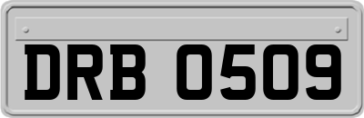 DRB0509