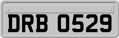 DRB0529