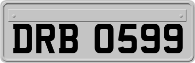 DRB0599