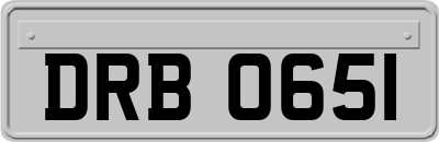 DRB0651