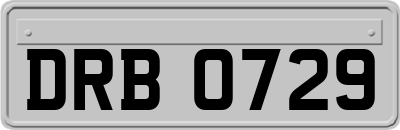 DRB0729