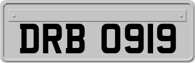 DRB0919