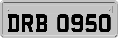DRB0950