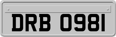 DRB0981
