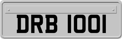 DRB1001