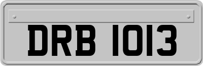 DRB1013