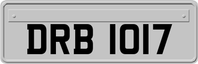 DRB1017