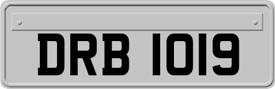 DRB1019
