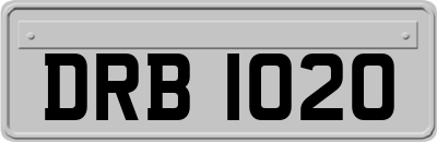 DRB1020