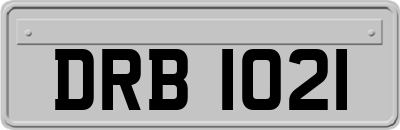 DRB1021
