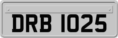 DRB1025