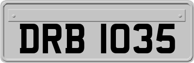 DRB1035