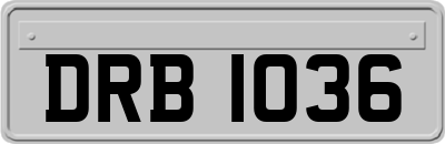 DRB1036
