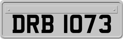 DRB1073
