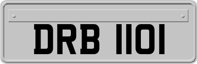 DRB1101