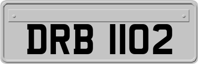 DRB1102