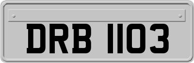 DRB1103