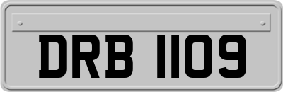 DRB1109
