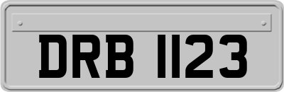 DRB1123