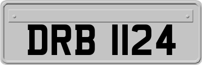 DRB1124