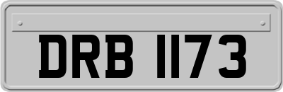 DRB1173