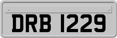 DRB1229