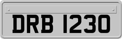 DRB1230