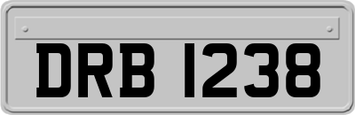 DRB1238